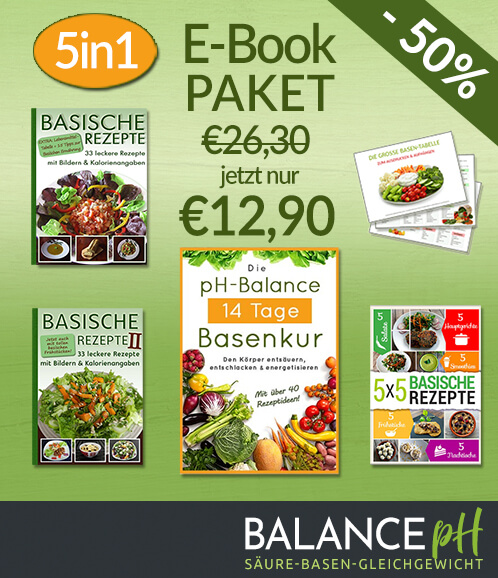 Basische Rezepte E-Book Paket