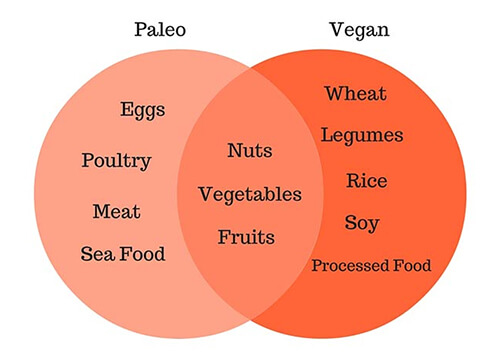 Paleo und Vegan im Vergleich